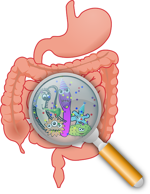 Comment aider la digestion naturellement à Toulouse ?