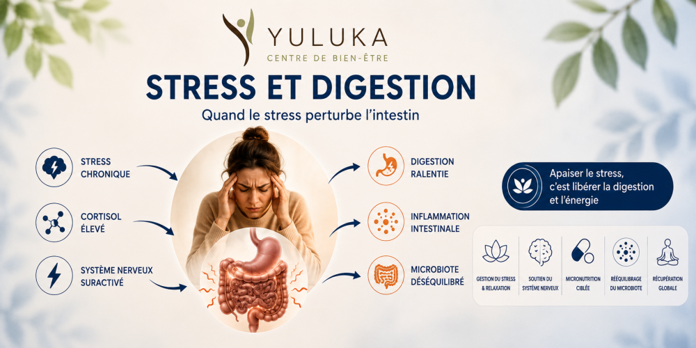 Cure Stress et Digestion à Toulouse