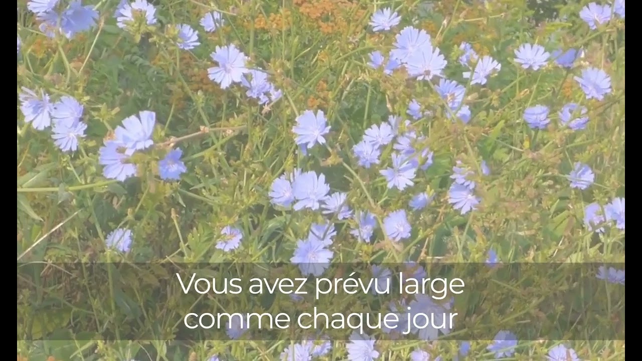 Sommeil de rêve – présentation vidéo